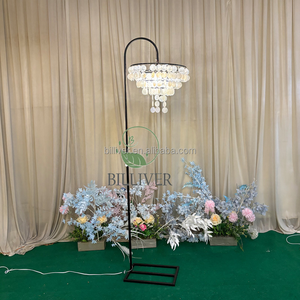 Nouveau mariage demi-<span class=keywords><strong>cercle</strong></span> arc lumière lustre mariage lustre support pour accessoires de mariage décor d'événement - Product Image 6