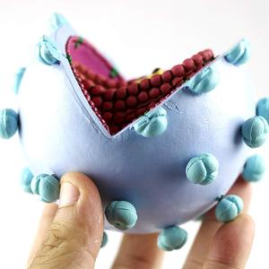 Modelo Ampliado del Virus del VIH KyrenMed, Modelo Ampliado del Virus del SIDA, Modelo de Estructura de Sección Transversal - Product Image 3