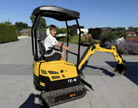 Terex 2.5 Ton Mini 4x4 Wheel Loader Backhoe Loader dengan Mesin Euro5/EPA Pompa Hidrolik Changjiang & Komponen Inti