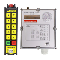 Control Remoto Inalámbrico Industrial de 10 Teclas, Impermeable IP67, de Una Sola Velocidad, con Parada de Emergencia y Antiinterferencias para Grúa