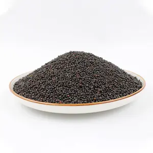 Chinese Single Spices Seasonings Charm Oil Spice Organic Black Mustard Seeds