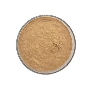 Extrait d'enzyme de levure nutritionnelle de qualité alimentaire - Product Image 1