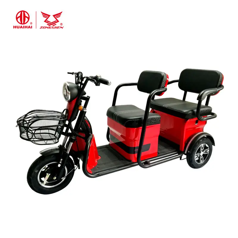 Triciclo eléctrico pequeño para personas mayores, vehículo de recreación con dos asientos