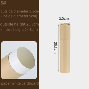 Caja de Cartón Ecológica de Lujo para Perfume, Tubo de Papel para Botellas de Vidrio, Protección Anti-Rayones, Impresión Clara, Papel Especial - Product Image 6