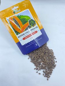 พรีเมี่ยม ฮายอี้ยน ฮายอี้ยน ไอพีบี มะละกอพันธุ์หวานทรอปิคอล ฮิตัม 100% ทนโรค บีนิห์ ดีไซเรสต์ 500 กรัม เมล็ดพันธุ์โบทานิ อินโดนีเซีย - Product Image 2