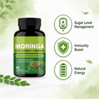 Capsules d'extrait de feuilles de Moringa en gros – Approvisionnement en vrac – Superaliment Moringa Oleifera – Complément de soutien immunitaire pour le bien-être des adultes