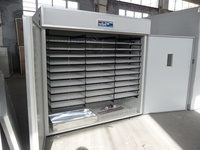 Machine d'incubation d'œufs de poulet à grande échelle, bon prix, 10 000 œufs, à vendre