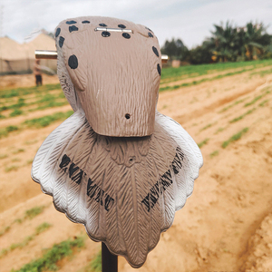 Coque en plastique faite à la main en <span class=keywords><strong>gros</strong></span> <span class=keywords><strong>de</strong></span> haute qualité volant leurres <span class=keywords><strong>de</strong></span> Pigeon en bois motorisés pour la <span class=keywords><strong>chasse</strong></span> - Product Image 3