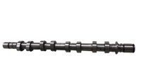 Arbre à cames F4R moteur Factory Direct 2.0L 16V pour Renault Clio Duster Espace Scenic