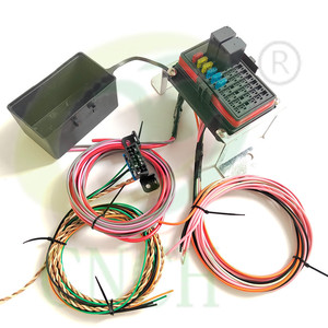 ヒューズブロックスタンドアロンOBD2ポートLSエンジンスワップワイヤハーネス - Product Image 1
