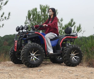 <span class=keywords><strong>Cuatrimoto</strong></span> Deportiva de Alta Calidad para Exteriores, 250cc, 300cc, 350cc, Automática/Manual, 4x4, para Adultos - Product Image 6