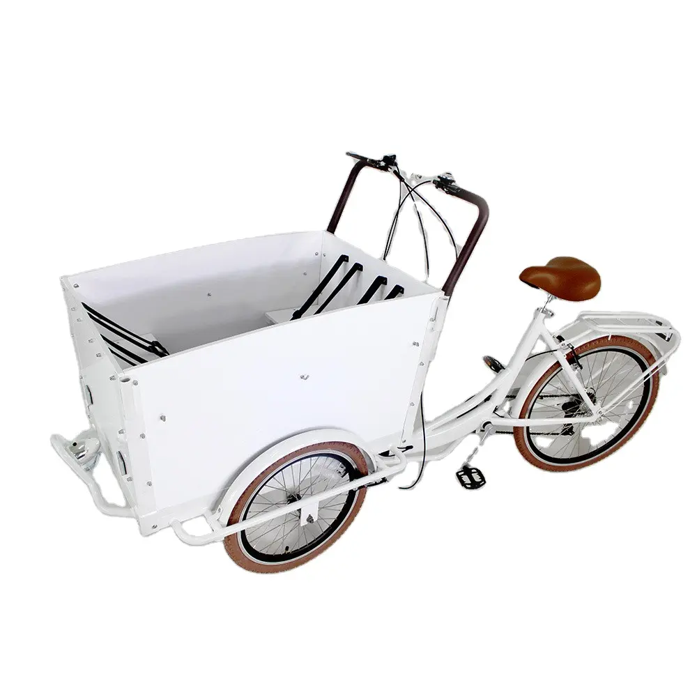 OEM Family Use Electric Cargo Bike Children Delivery Adult Pedal Reverse Riding Cargo Tricycle Outdoor Delivery Cart