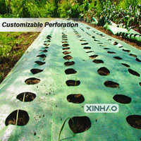 1*100m Couvre-sol Anti-Grass Mesh Weed Barrier Landscape Fabric Agricultural Plastic Weed Control Mat Roll