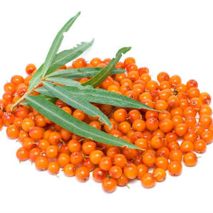 Sha Ji Bulk Herbal Saúde Orgânica <span class=keywords><strong>Seabuckthorn</strong></span> Chá Seco Sea Buckthorn Berries 1 kg/pack - Product Image 3