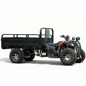 Quad 300cc 4x4 à démarrage électrique automatique, certifié CEE, UTV à essence avec une charge utile de 500 kg, 50-75 km/h, pour travaux agricoles en montagne - Product Image 5