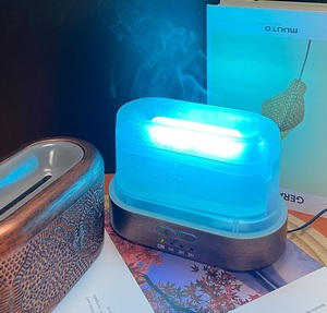 Trang chủ trang trí hoa Sắt Mini 200ml mát sương mù tạo độ ẩm 7 màu <span class=keywords><strong>LED</strong></span> thay đổi ngọn lửa lửa đỏ dầu kim loại khuếch tán - Product Image 5