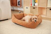 Lit orthopédique pour chien en velours côtelé, lit pour animaux de compagnie avec rebord, canapé-lit lavable pour chiens et chats de petite et moyenne taille