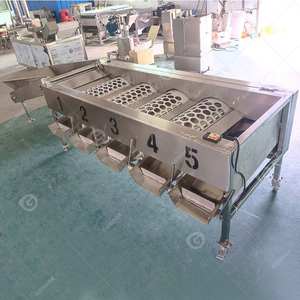 Areca Nut Potato Papaya Tomate Mushroom Mangosteen Gran Castaño Pepino Tambor Rodillo Máquina de clasificación para lavado - Product Image 2