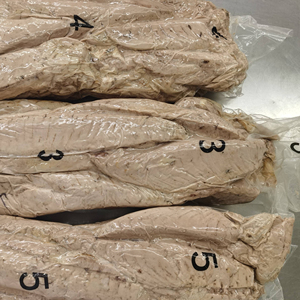 Lomo de atún barrilete precocinado congelado, bolsa de filete de pescado de limpieza única, envasado al vacío, lomo de <span class=keywords><strong>pez</strong></span> patudo precocinado congelado - Product Image 1