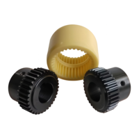 Housse en nylon légère et compacte SFS 45 #   Accouplement d'engrenages flexible universel de type NL, traité par oxydation de l'acier, personnalisation OEM