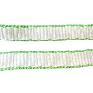 <span class=keywords><strong>Uhmwpe</strong></span> Webbing cao tenacity dyneemas Trọng lượng nhẹ <span class=keywords><strong>uhmwpe</strong></span> Webbing tùy chỉnh dây đeo chống cắt bằng chứng chống mài mòn - Product Image 4