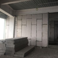 Maison préfabriquée / Panneau en silicate de calcium / Panneau sandwich / Structure en acier préfabriquée / Installation rapide / Villa de haute qualité
