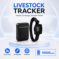 Localizador GPS Inalámbrico 2G WiFi con Alarma de Vibración y Luz, Reproducción de Rutas, Soporte OTA Remoto, API, OEM, ODM, Plataforma Multi-Idioma
