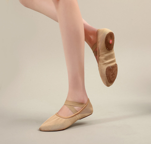 Zapatillas de Ballet para mujer, zapatos elásticos de suela blanda para niños, zapatillas de Ballet de lona, zapatos plegables, zapatos de <span class=keywords><strong>baile</strong></span> <span class=keywords><strong>latino</strong></span> para mujer - Product Image 6