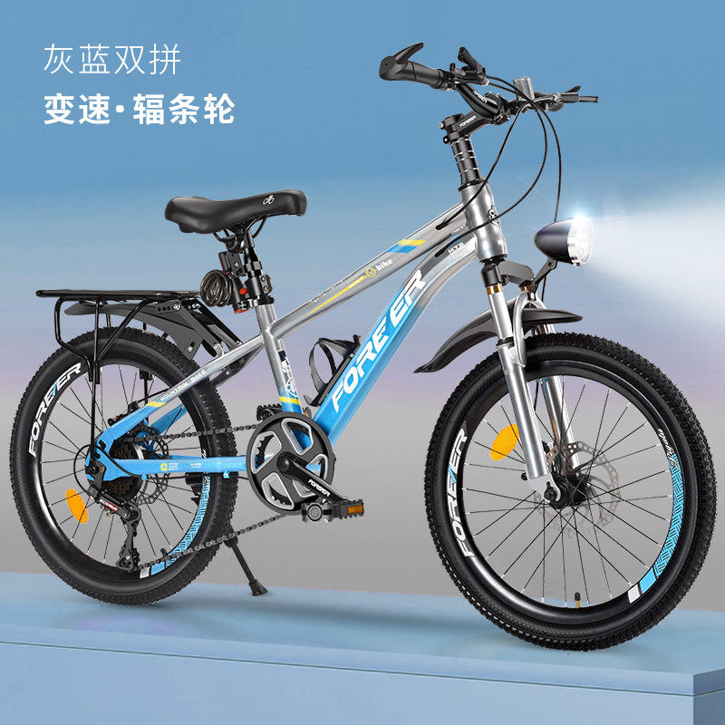 Gris-bleu (roue à rayons variables)