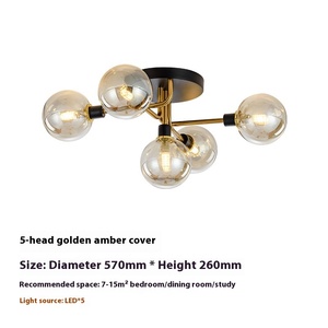 Plafonnier LED haricot de luxe post-moderne nordique pour chambre petit salon étude d'entrée Source d'alimentation ca nouvelle entrée - Product Image 6