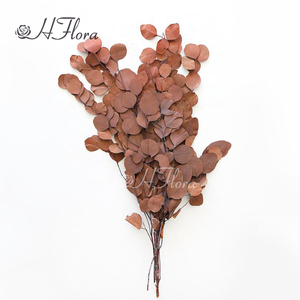 HFloral Wholesale Custom Natural Decorative Dried Bouquet <strong>Press</strong> the Leaves Preserved <strong>Flower</strong> Apple Leaf Eucalyptus - Product Image 4