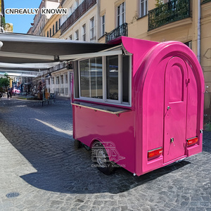 Carrito de Helados Móvil OEM, Remolque de Comida para Venta Ambulante de Café y Alimentos - Product Image 4