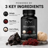 Compléments de Shilajit de l'Himalaya Premium – Capsules Énergie et Immunité Très Demandées pour Adultes – Suppléments à Base de Plantes (Mousse de Mer, Crinière de Lion)