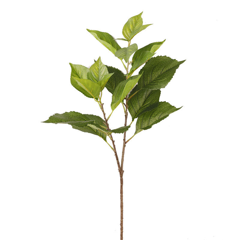 สีเขียว