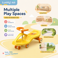 Luddy Custom 2-in-1 Kleinkinder-Roller mit Klappbarem Sitz, Lenkbarer Kinder-Schiebe- und Rutscheroller für Drinnen und Draußen mit LED-Rädern