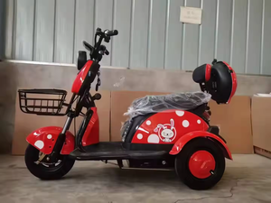Tricycle électrique à moteur à 3 roues utilisé pour désactiver le tricycle à moteur tricycle électrique pliant - Product Image 2