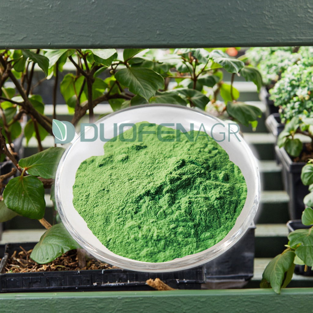 Wholesale Organic Seaweed Powder for Berry Crop Growers
