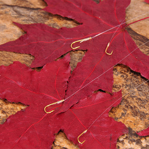 เบ็ดตกปลา Aohu แบบปลายคู่ ปลอกทอง พร้อมสายผูกสำเร็จ ความแข็งแรงสูง สำหรับใช้ในทะเลสาบ 10 ชุด - Product Image 2