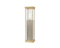 Vitrine à bijoux multi-tiroirs avec éclairage LED, couleur/taille personnalisable, plateau en verre trempé et acier inoxydable, durable