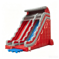 Tobogán Acuático Inflable de PVC Rojo y Gris para Fiestas Infantiles, Uso Comercial Ecológico