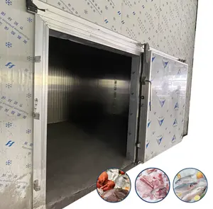 Painel de parede da sala de armazenamento a frio do congelador de 5 toneladas para peixes longa vida