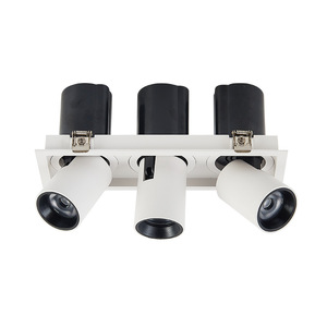 Đèn <span class=keywords><strong>LED</strong></span> âm trần có thể điều chỉnh kéo dài 6W 2x6W 3x6W 4x6W 12W 2x12W 3x12W <span class=keywords><strong>25W</strong></span> 2x25W 3x25W kéo out COB điều chỉnh xuống ánh sáng - Product Image 5