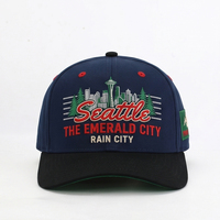 Gorras de Béisbol 2025 Bordadas con Impresión Puff, Gorras Deportivas Lisas 100% Algodón Ajustables Unisex