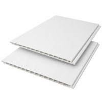 Panel de Techo para Baño de PVC Blanco Mate, Resistente al Moho, Comercial, WYRAX