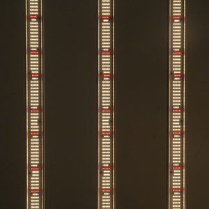 Barra de Luz de Cultivo de Alto PPFD, Espectro Completo, 1000W-1300W, Lámpara LED Samsung para Plantas, Sistemas Hidropónicos de Invernadero - Product Image 3