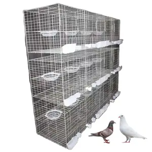 Cage à pigeons Cage d'élevage Offre Spéciale petit oiseau cage galvanisée à froid pour Saudl Arabla