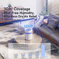 Nouvel humidificateur sans brume, humidificateur à forte production de brume avec purification de l'air, mini purificateur d'ions négatifs portable pour la maison et le bureau
