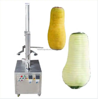 Ananas Schilmachine Winter Meloen Papaja Watermeloen Dunschiller