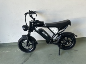 Ridstar Q16 EU Kho 1000W 48V 20Ah Chất Béo Lốp Ebike Trung Tâm Động Cơ MTB Xe Đạp Điện Leo Núi Bụi Bẩn Xe Máy Lai Người Lớn E Xe Đạp - Product Image 4