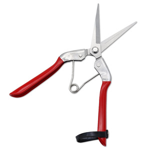 Nice <b>Pruning</b> Shears Stainless Steel 65mm Blade Garden <b>Tree</b> Trimming <b>Tools</b> Orchard Grape Picking - Product Image 4